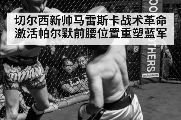 切尔西新帅马雷斯卡战术革命激活帕尔默前腰位置重塑蓝军